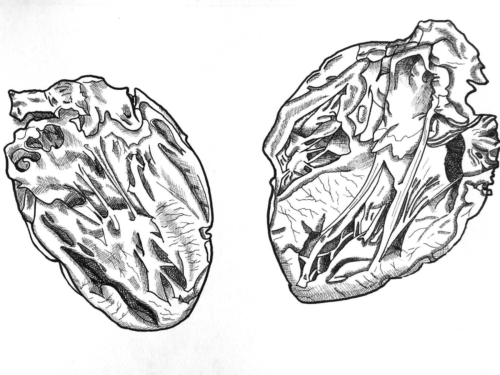 Sakura Pigma Micron ink on paper. Boston, Massachusetts. Ca. 2020.