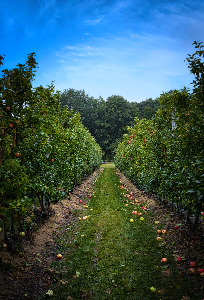 Central Massachusetts. September 2023. Fujifilm x100f.